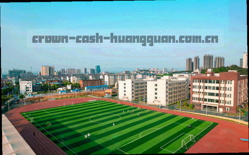 上海城市轮廓抽象线条画
